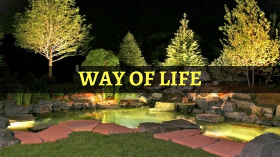way-life